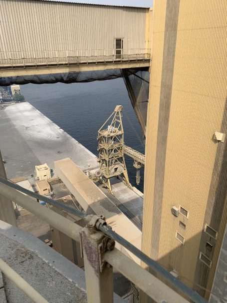 Port grain handling infrastructure