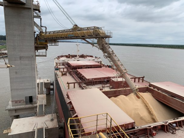 Grain loading into bulk carrier
